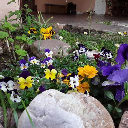 Sweet Dreams Home Trikala  Exterior photo