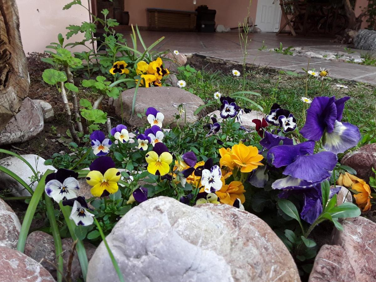 Sweet Dreams Home Trikala  Exterior photo